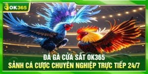 Đá Gà Cửa Sắt OK365 – Sảnh Cá Cược Chuyên Nghiệp Trực Tiếp 24/7