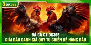 Đá Gà C1 OK365 – Giải Đấu Danh Giá Quy Tụ Chiến Kê Hàng Đầu