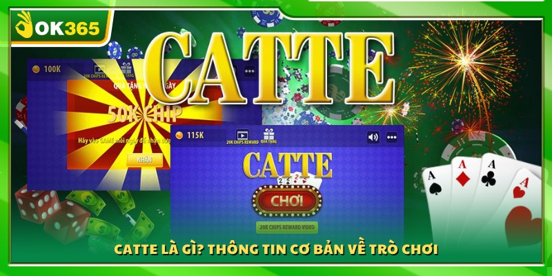 Catte là trò chơi gì? Tổng quan luật và cách tham gia