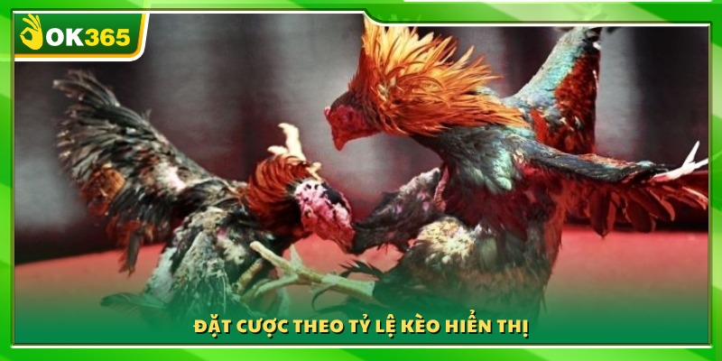 Chọn cửa cược dựa trên bảng kèo được công bố