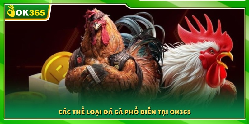 Những hình thức đá gà hấp dẫn nhất tại OK 365