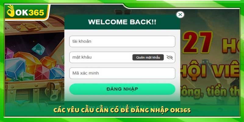 Điều kiện và thông tin bắt buộc trước khi đăng nhập 