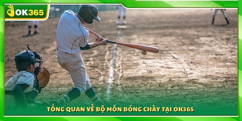 Giới thiệu chi tiết về luật chơi bóng chày OK365
