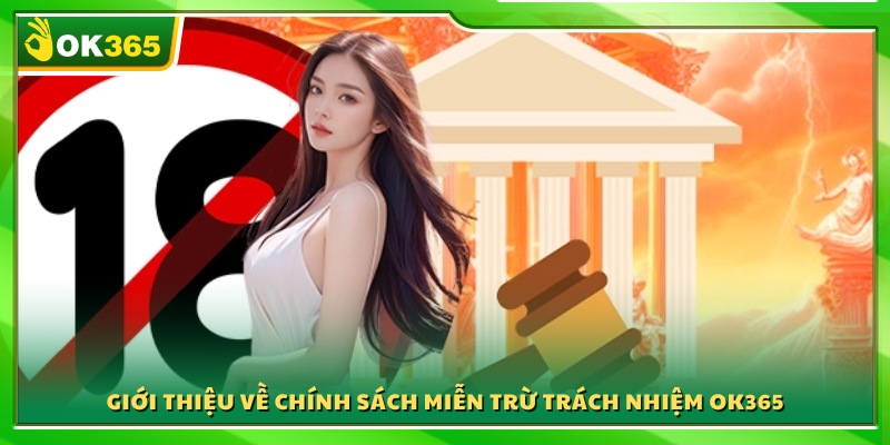 Khái quát nội dung miễn trừ trách nhiệm Ok365 