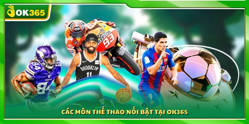 Danh mục bộ môn thể thao được yêu thích nhất 